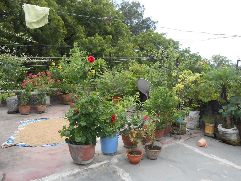 Guest house Maruti *